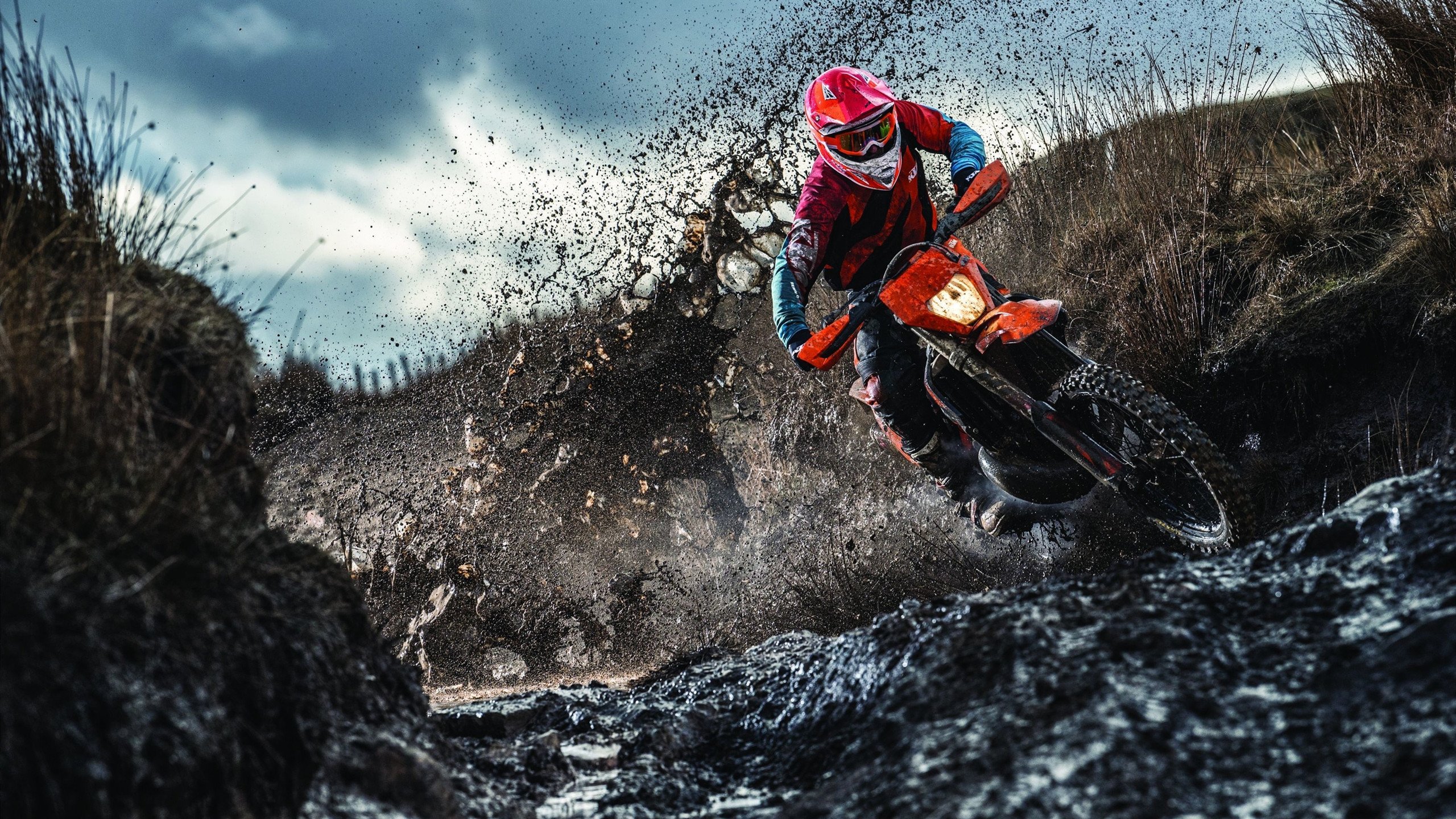 东瀛风暴席卷巴黎，波尔领衔的日本队如何以唯一性战术横扫法国