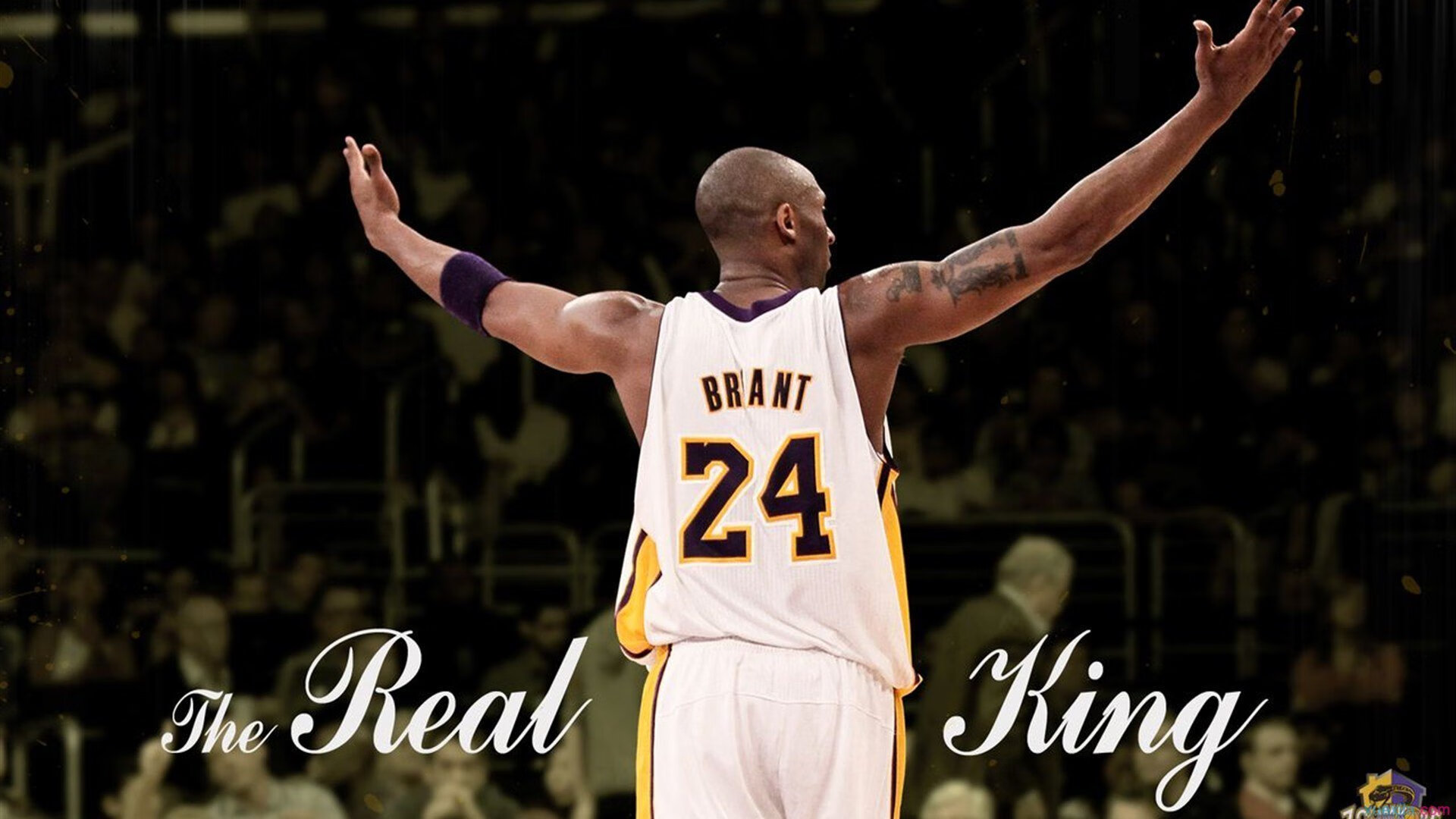 温网绝杀与年终救赎，纳达尔如何扛起全队，书写网坛传奇